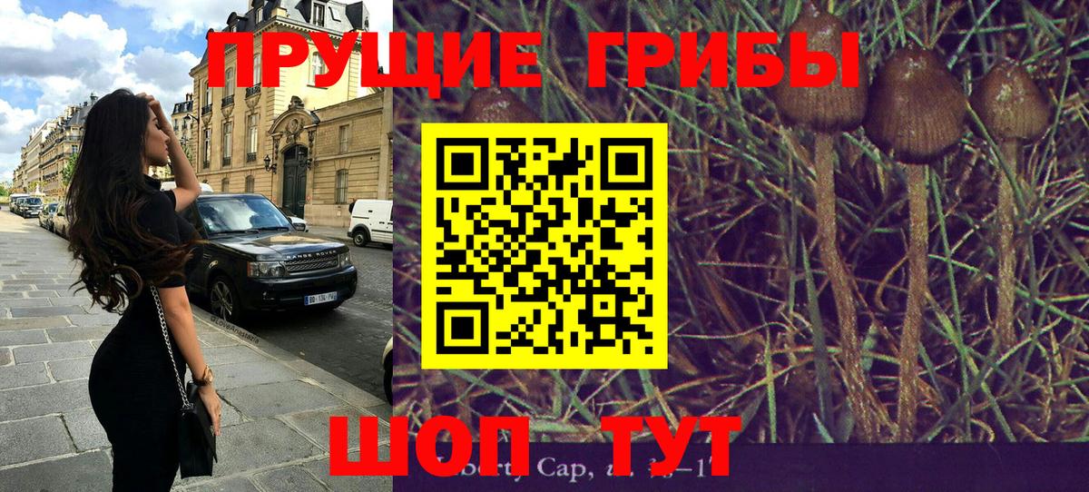 Галлюциногенные грибы MAGIC MUSHROOMS Бутурлиновка
