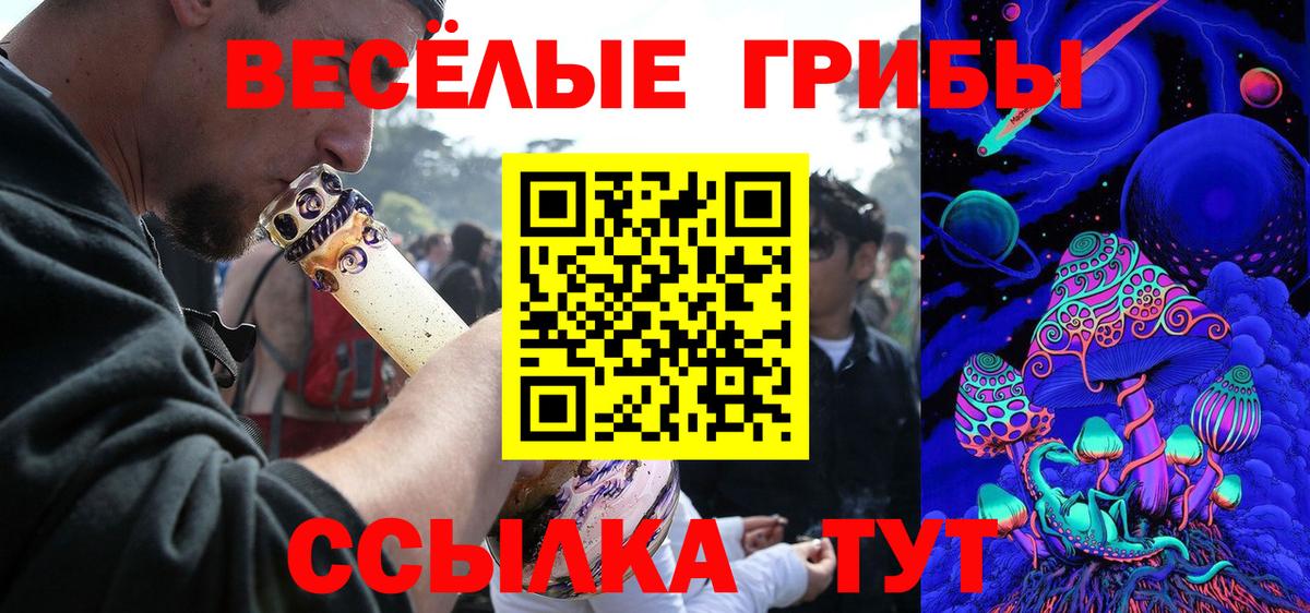 Галлюциногенные грибы MAGIC MUSHROOMS  Псилоцибиновые грибы Cubensis  Бутурлиновка  где найти   Вход с VPN 